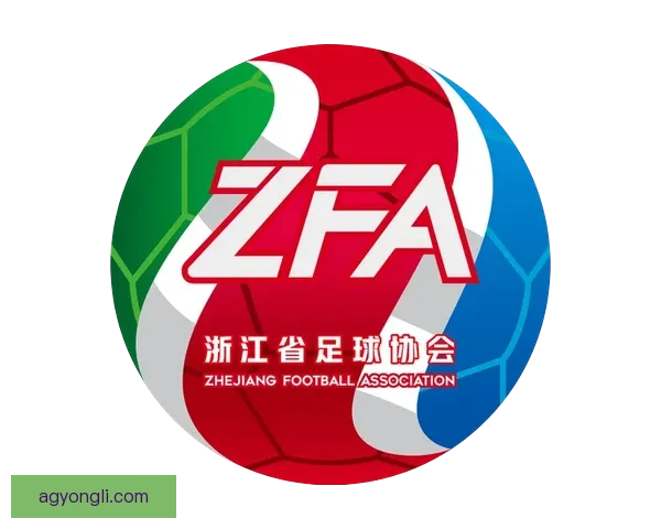 全网最全足球直播赛事实时解说与精彩回放指南